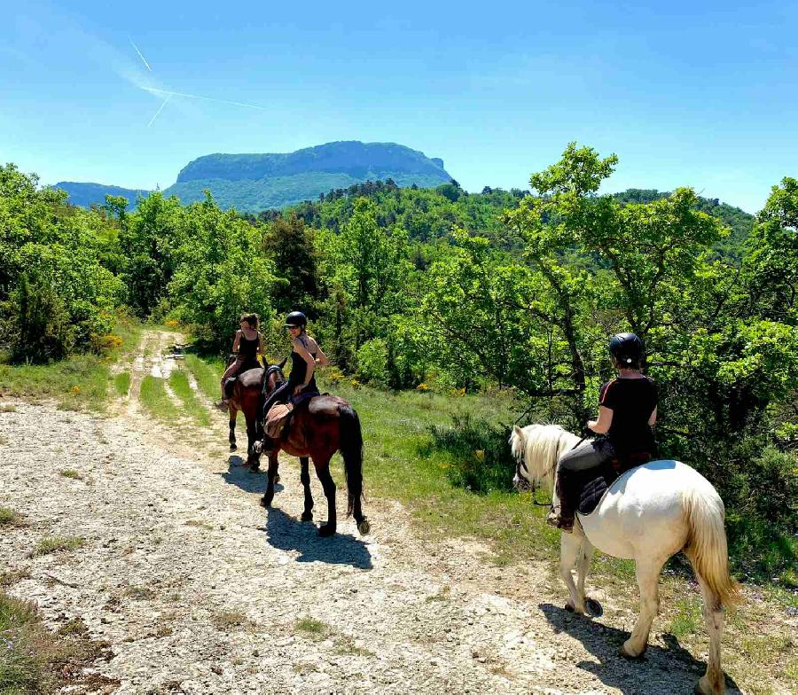 S�jour �questre   photo 6