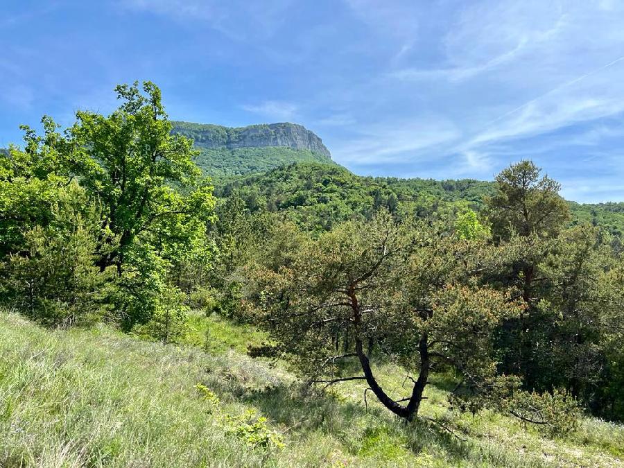 S�jour �questre   photo 3