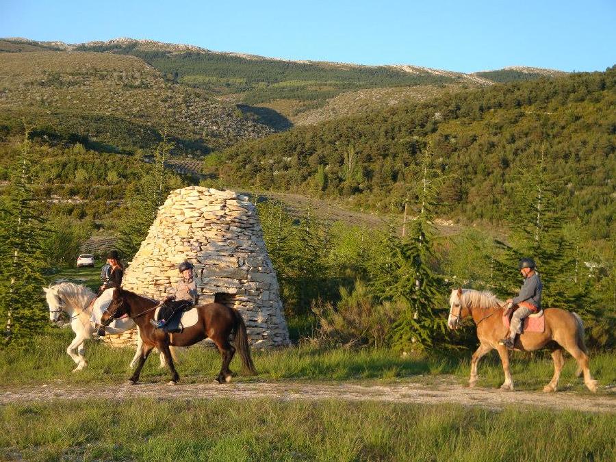 S�jour �questre   photo 4