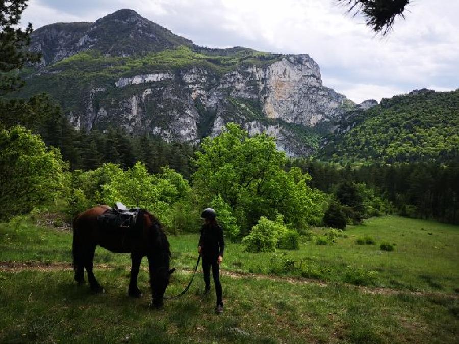 S�jour �questre   photo 5