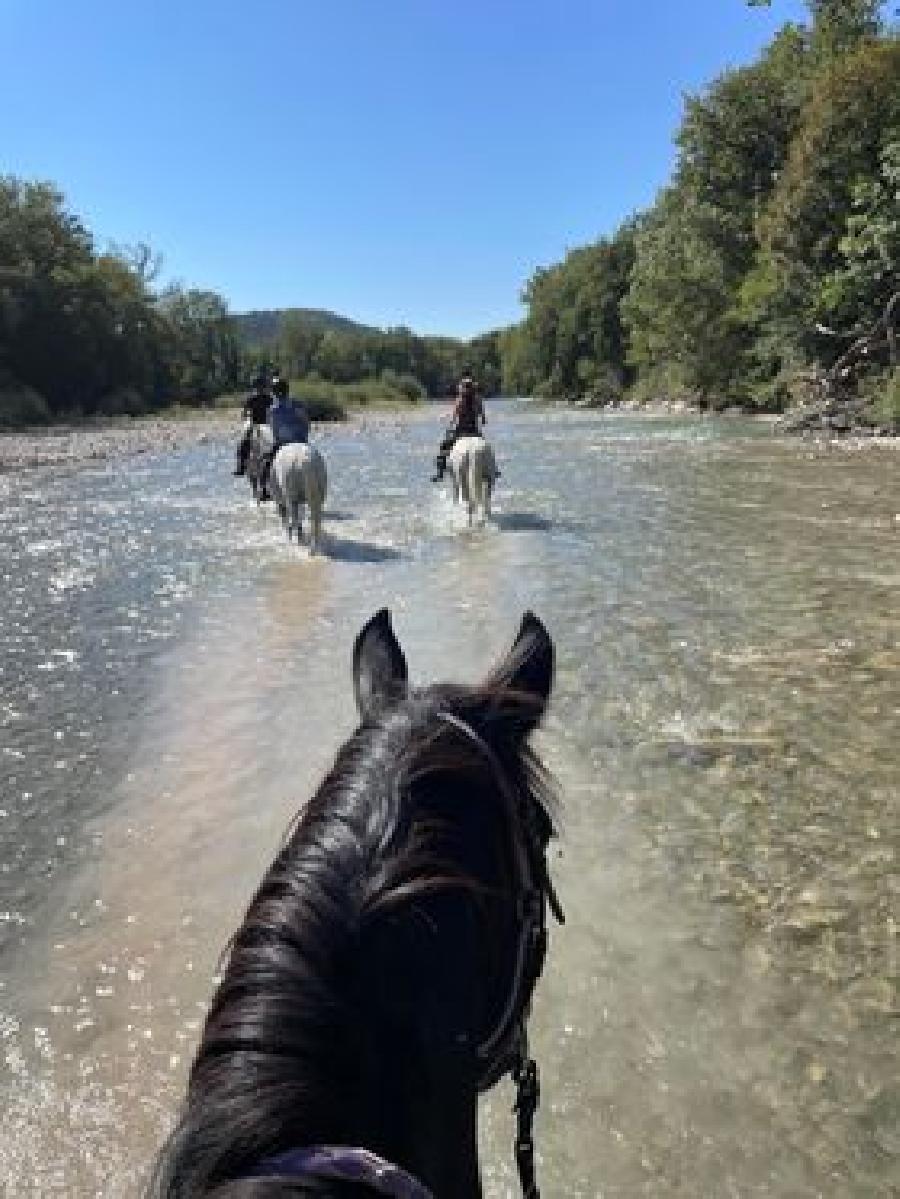 S�jour �questre   photo 2