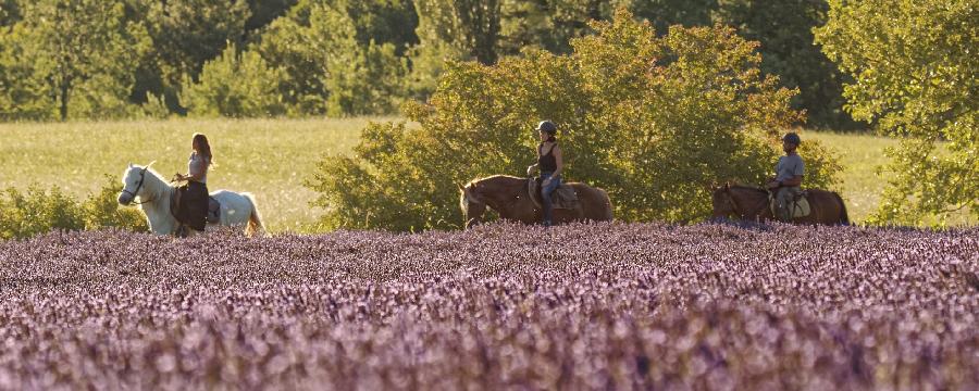 S�jour �questre   photo 4