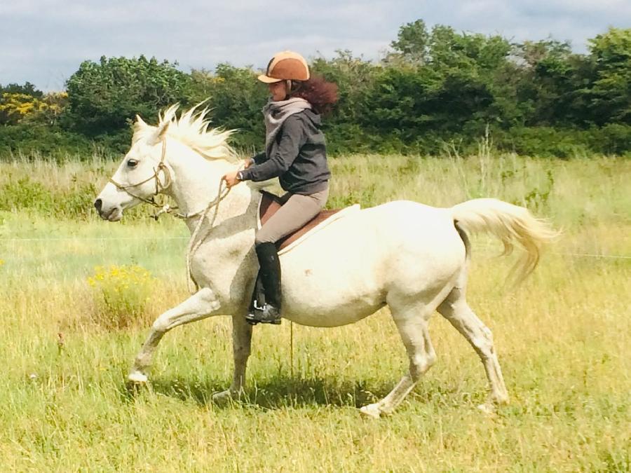 Stage �quitation   photo 2