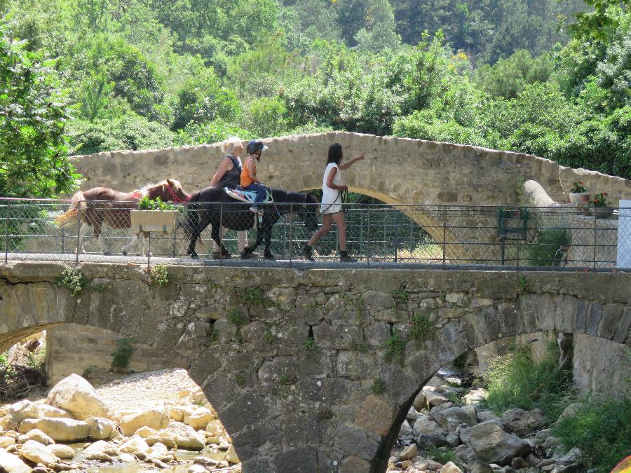 Stage �quitation   photo 5