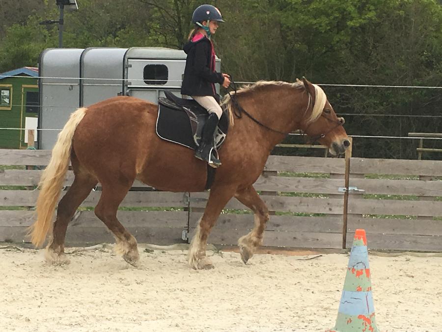 Stage �quitation   photo 6