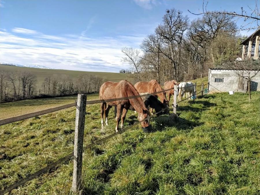 sejour Haute-Garonne Comminges