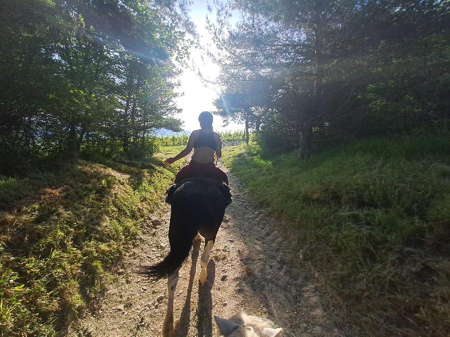 S�jour �questre   photo 2