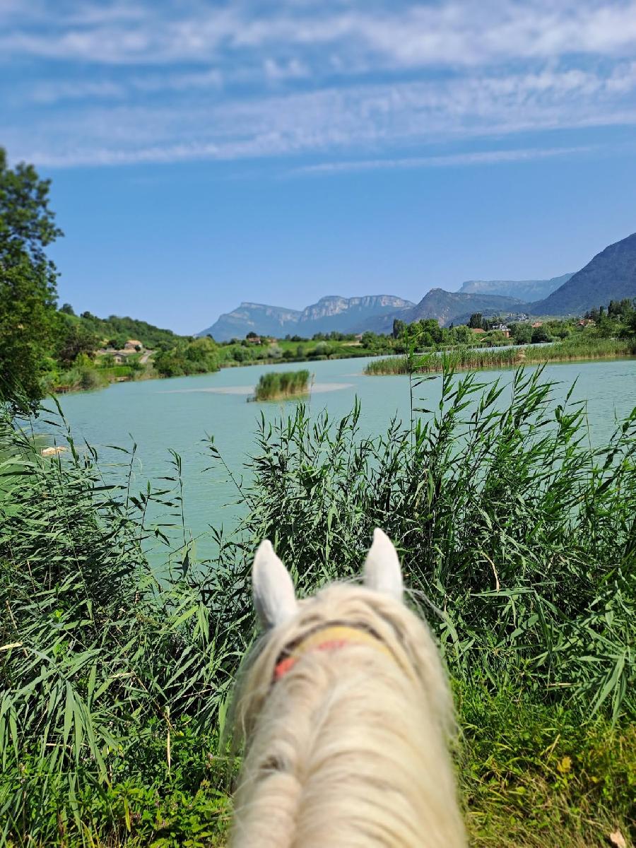 S�jour �questre   photo 2