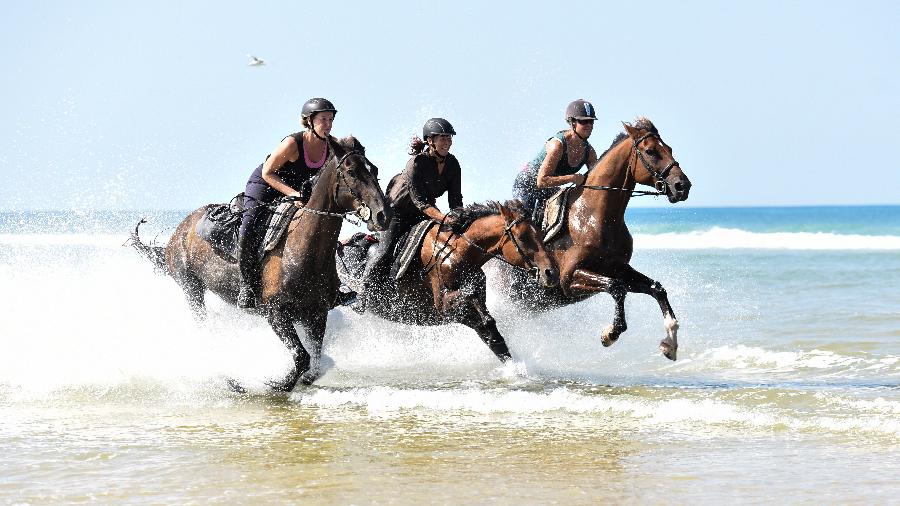 sejour Pyrnes-Atlantiques Pays Basque photo 5