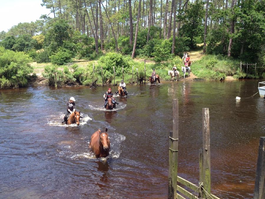 Sjour questre Landes Bordelais photo 2
