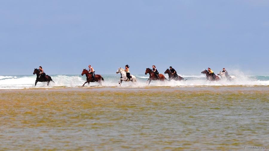 Balade  cheval Landes Cte Atlantique Landaise photo 4