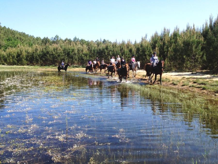 Balade  cheval Landes Cte Atlantique Landaise photo 6