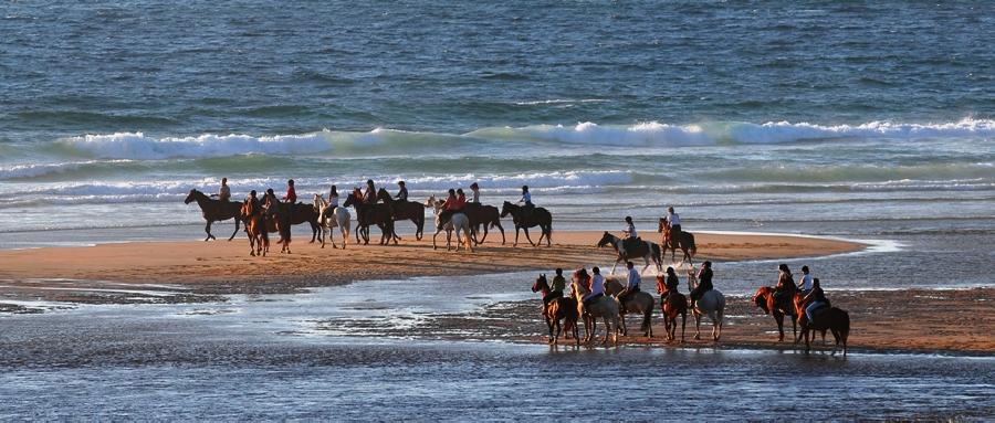 Sjour questre Landes Cte Atlantique Landaise