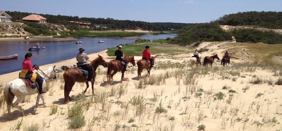 Sjour questre Landes Cte Atlantique Landaise photo 2