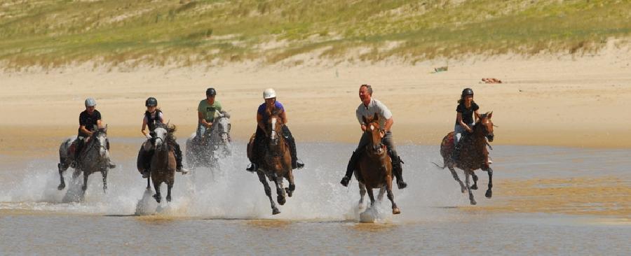 Randonne questre Landes Cte Atlantique Landaise photo 4