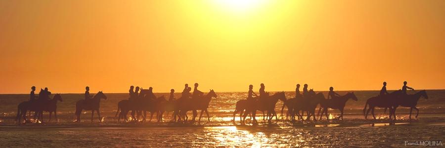 Randonne questre Landes Cte Atlantique Landaise photo 6