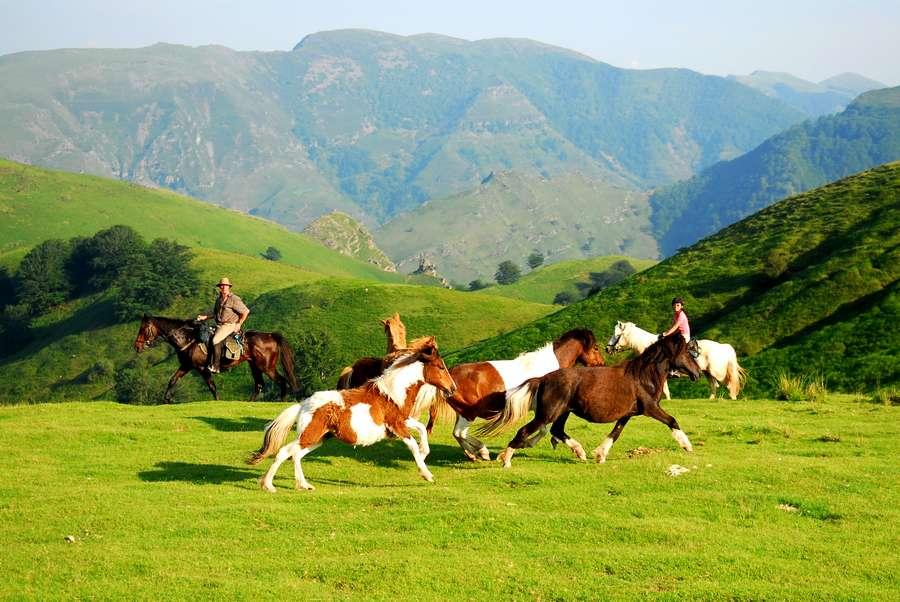 randonnee cheval pyrenees atlantiques