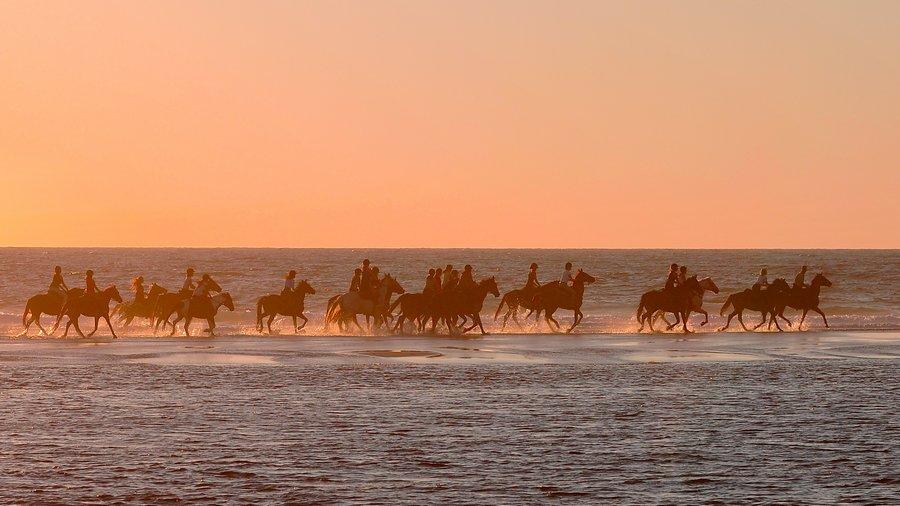 Voyage  cheval Landes Bordelais photo 6