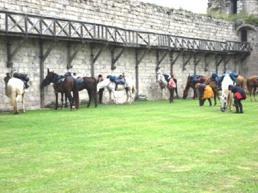 Randonne questre   photo 2