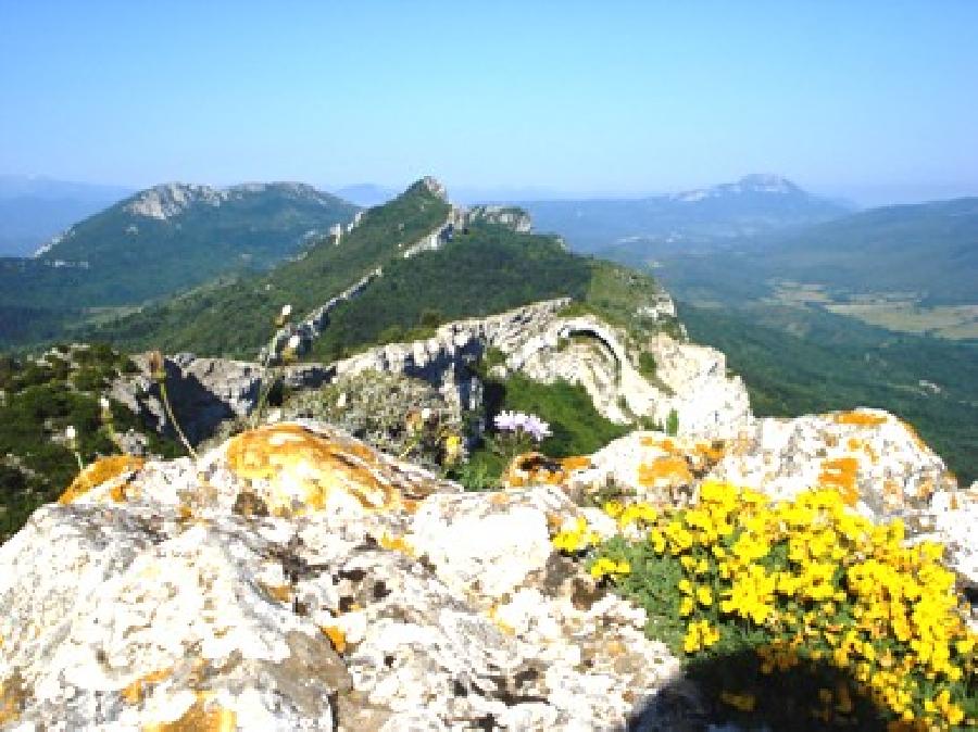 Randonne questre   photo 5