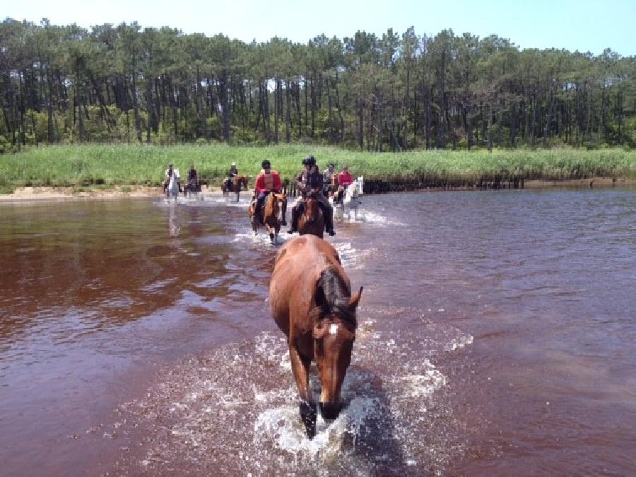 Balade  cheval Landes Cte Atlantique Landaise photo 5