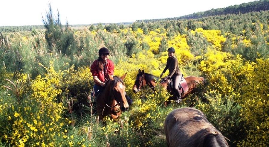 Balade  cheval   photo 6