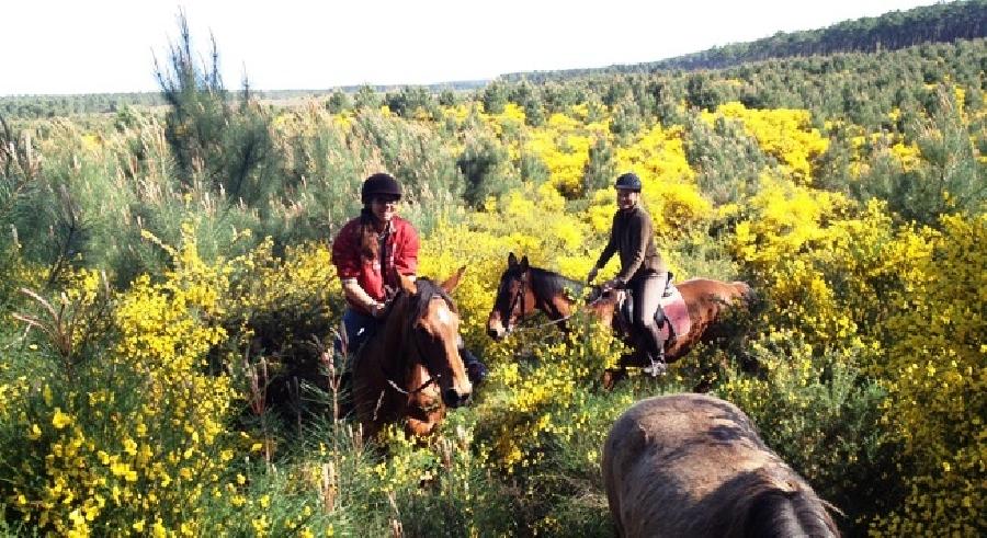 Balade  cheval Landes Cte Atlantique Landaise photo 6