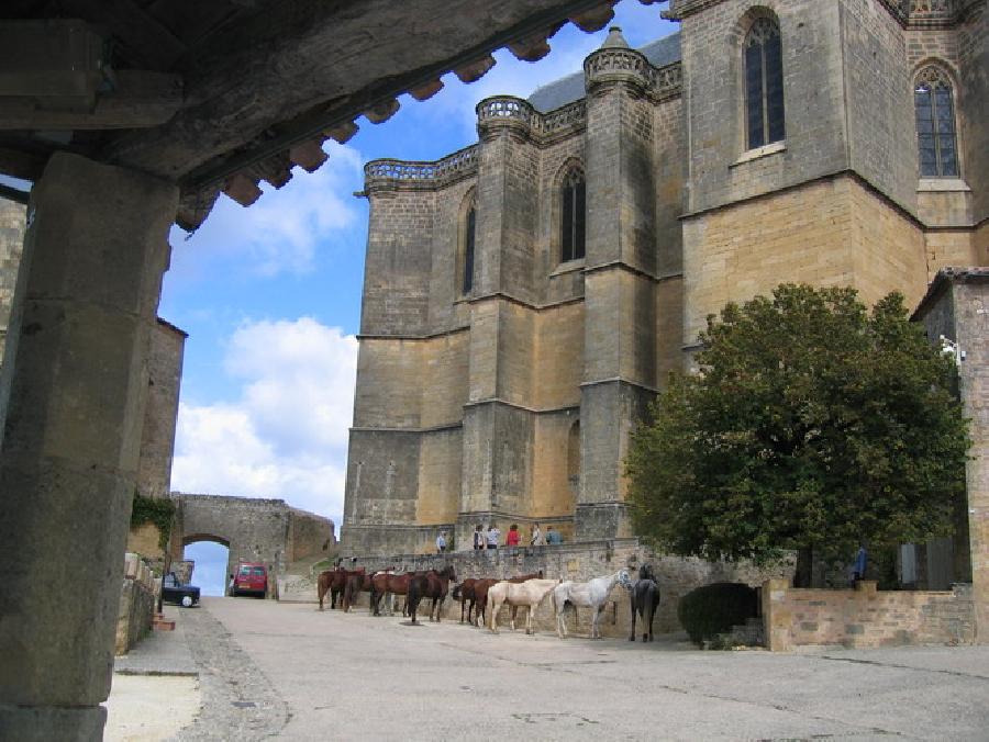 Sjour questre Landes Bordelais photo 2