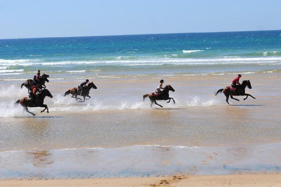 Sjour questre Landes Bordelais photo 6