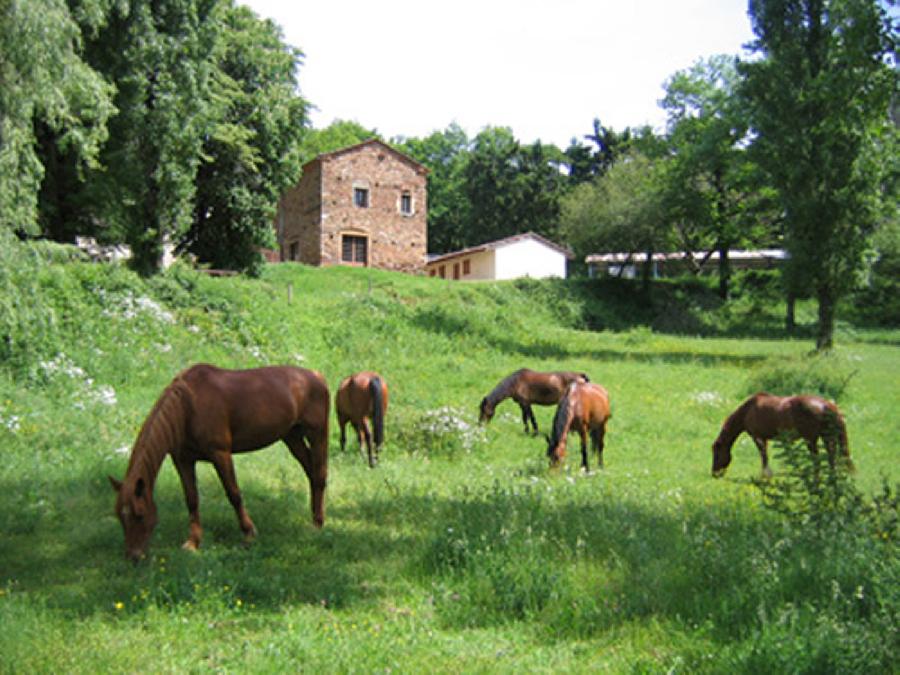 Sjour questre Tarn PNR du Haut-Languedoc