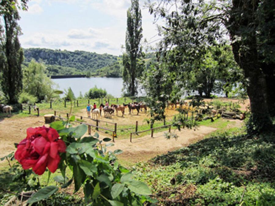 Randonne questre Tarn PNR du Haut-Languedoc photo 3