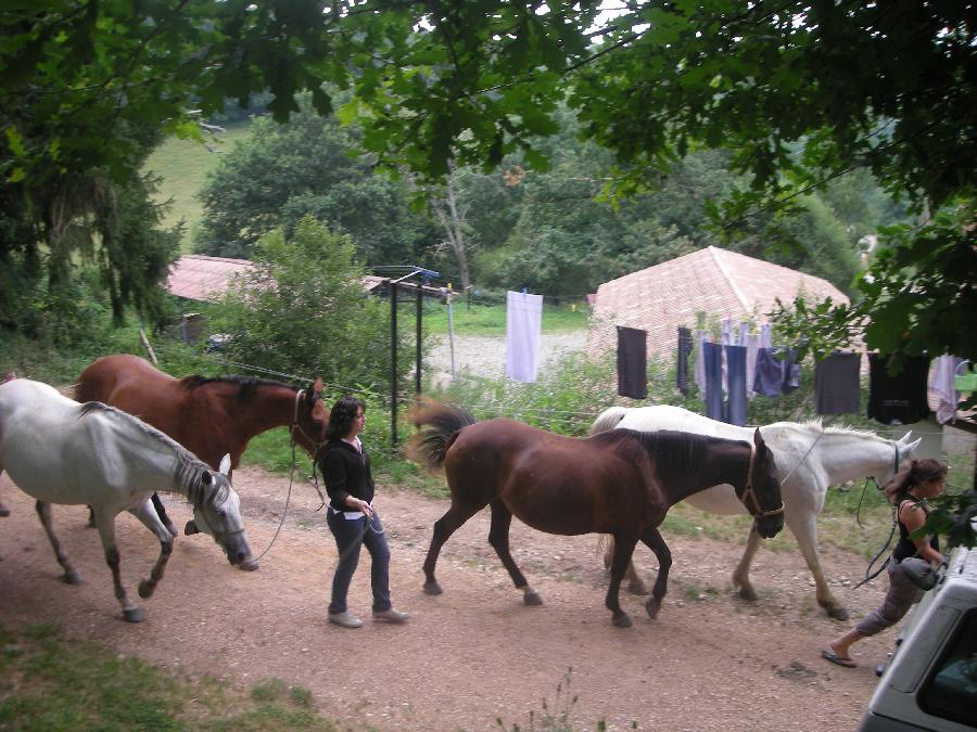 Stage quitation Tarn PNR du Haut-Languedoc photo 5