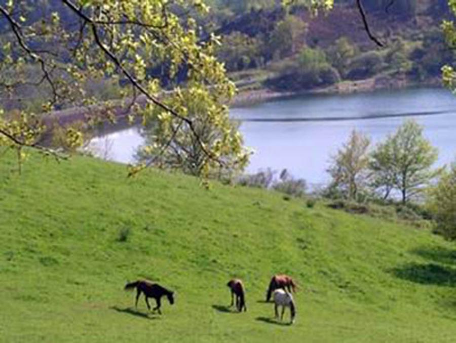 Stage quitation Tarn PNR du Haut-Languedoc