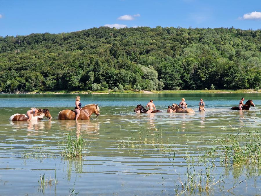 Randonne questre Jura  photo 3