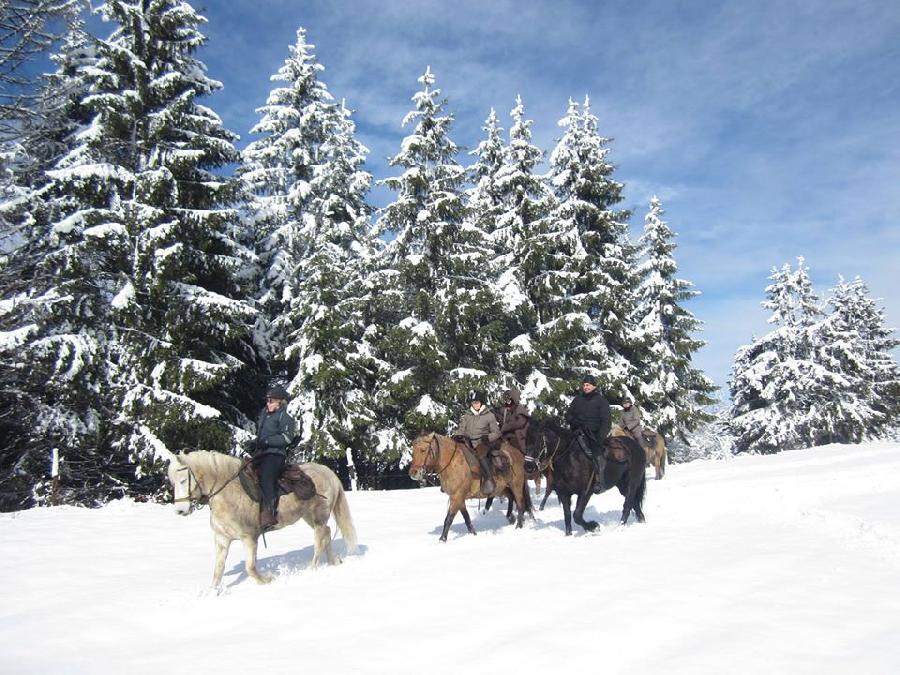 Randonne questre Jura 