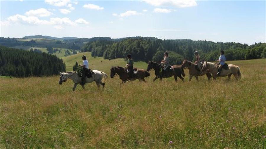 Sjour questre Jura PNR du Haut-Jura