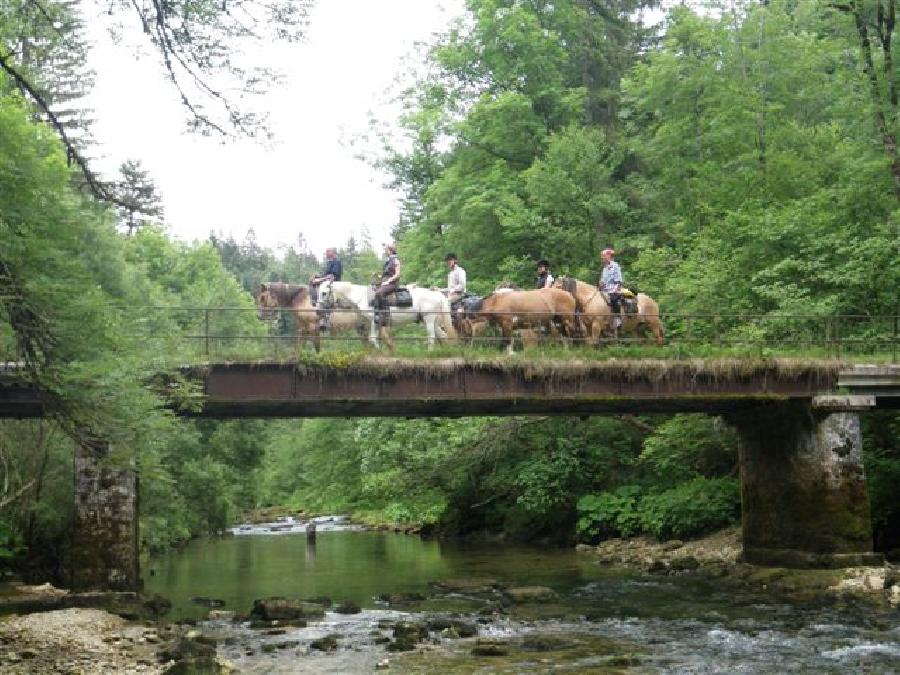 Randonne questre Jura  photo 2