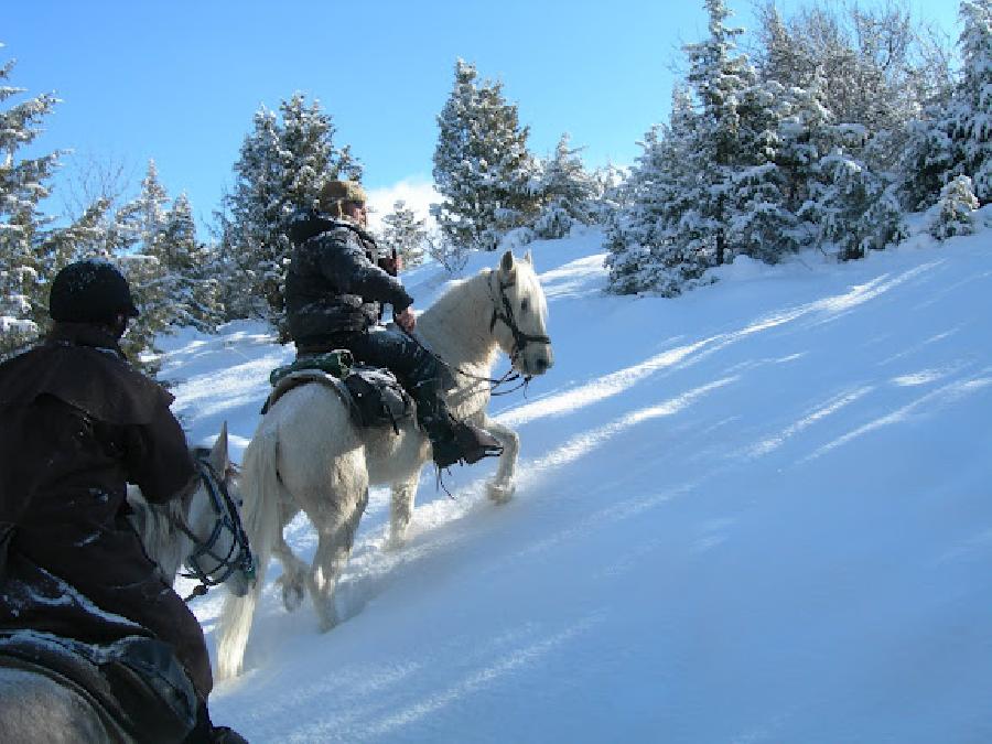 Randonne questre   photo 2