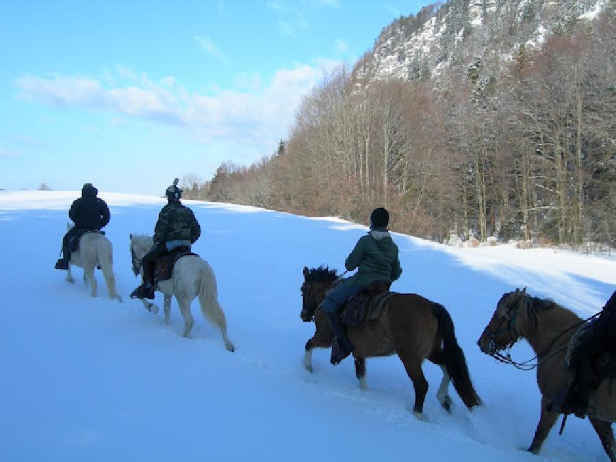 Sjour questre Jura  photo 3