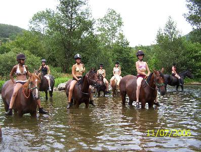 rando cheval tarn