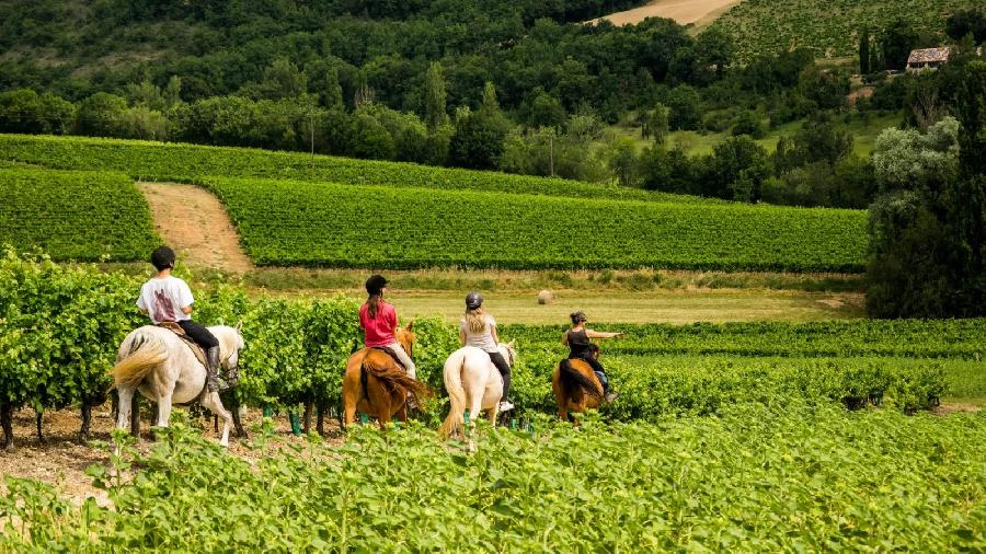 Randonn�e �questre   photo 3
