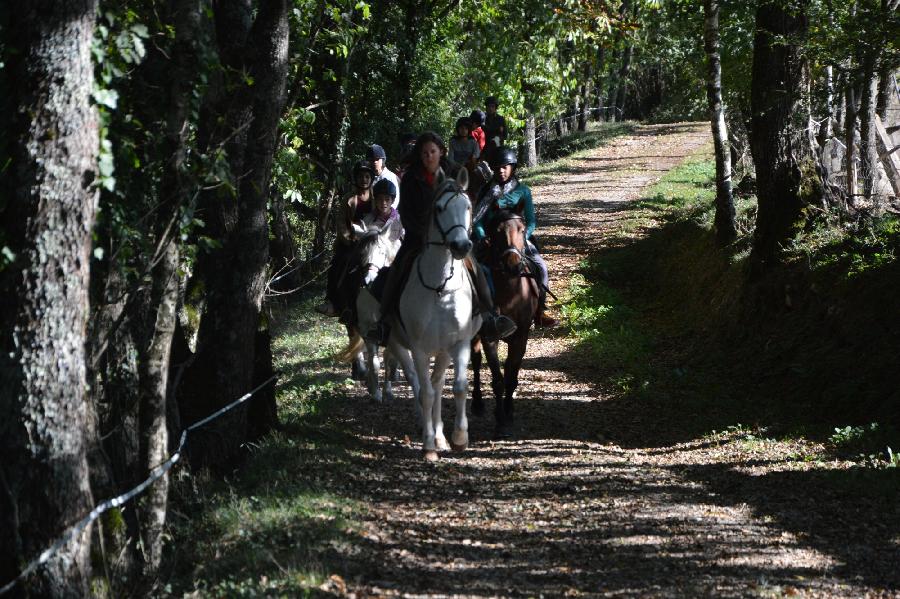 Balade  cheval Tarn 