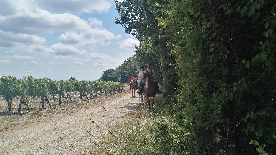 Balade  cheval   photo 2