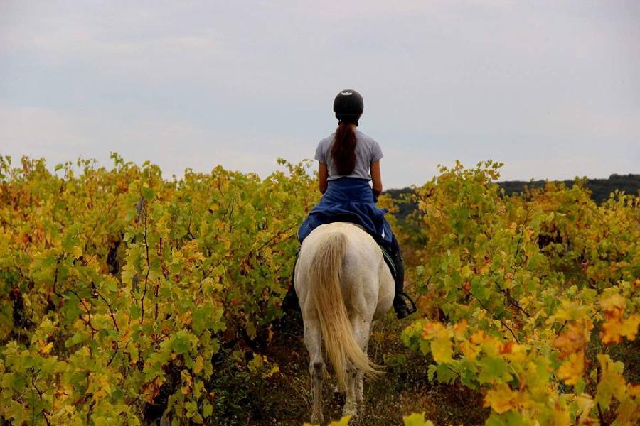 Balade  cheval   photo 6