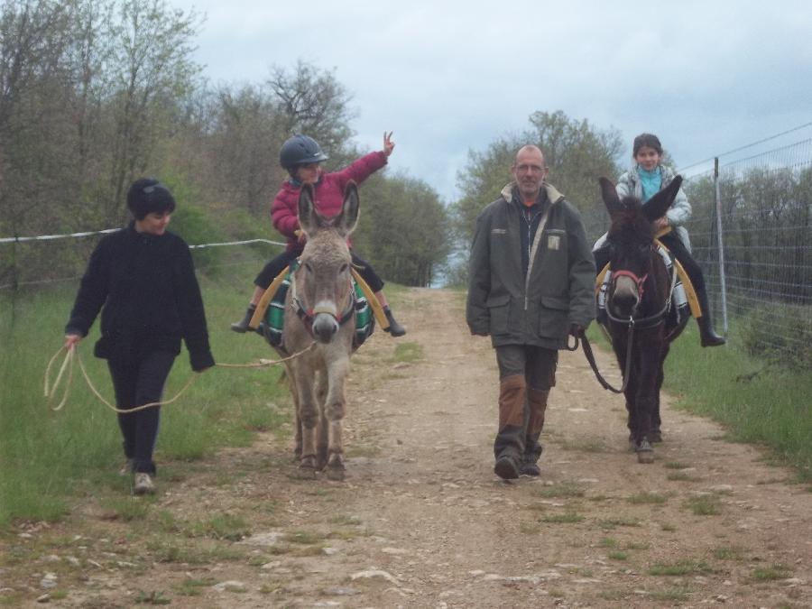 Sjour questre   photo 2