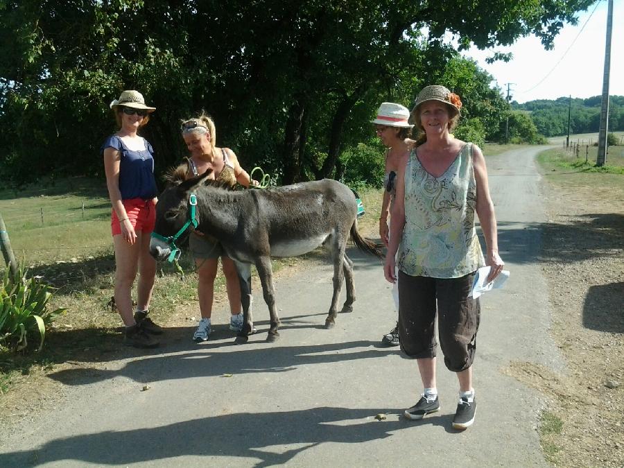Sjour questre   photo 3
