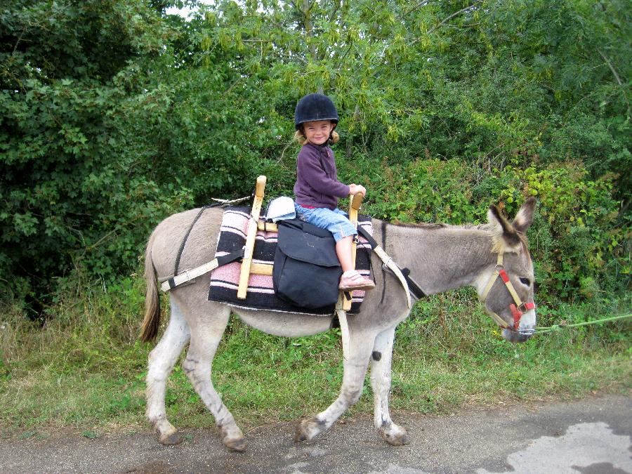 Balade  cheval Tarn  photo 6