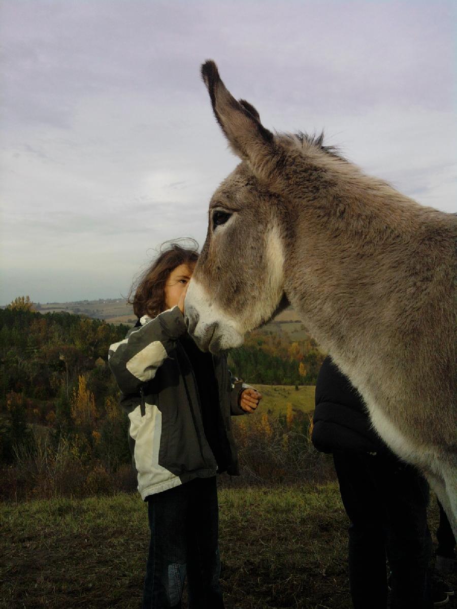 Randonn�e �questre   photo 2