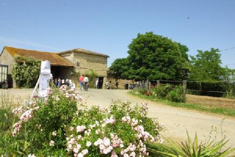 Randonne questre   photo 5