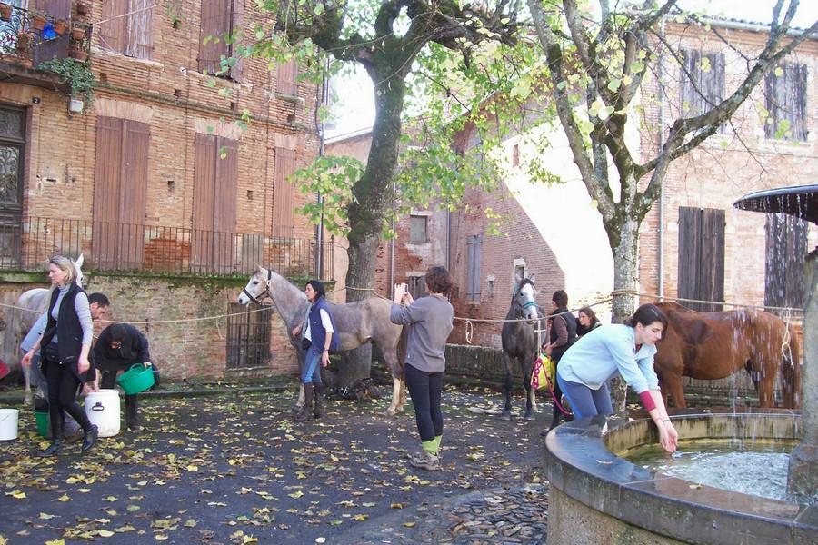 Balade  cheval   photo 5